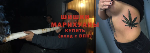 spice Белокуриха