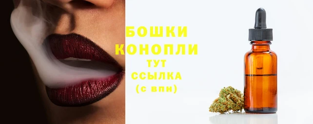 spice Белокуриха