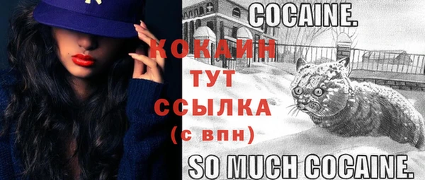 spice Белокуриха