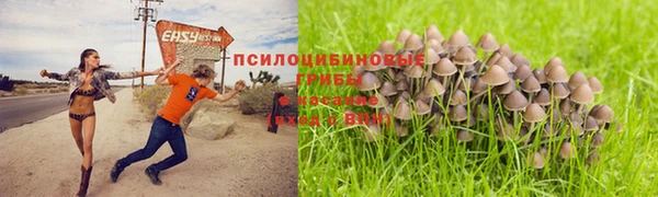 spice Белокуриха
